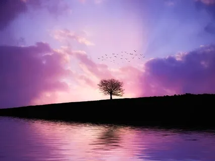 Inner Guidance Meditation