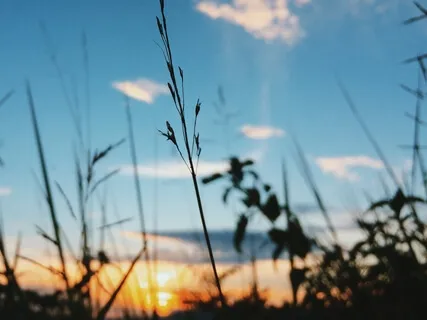 Inner Happiness - Mantra Music