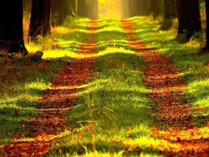 Inner Harmony Relaxation Meditation