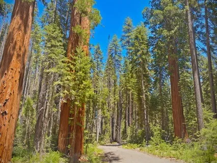 Inner Journey To Clarity