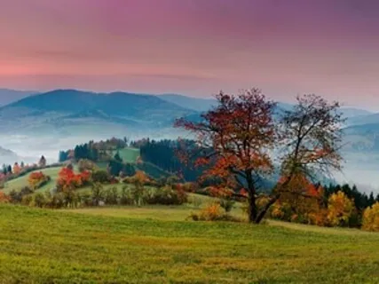 Inner Joy (Extended Version)