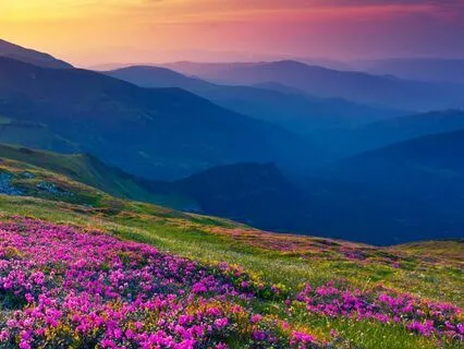 Inner Landscape, Inner Earth, Inner World, Our Garden Within