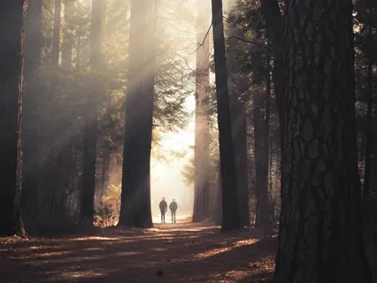 Inner Landscape Of Multitudes