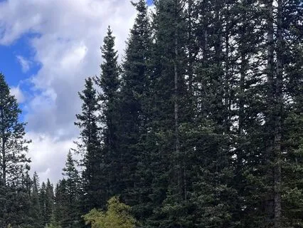 Let It Be: A Meditation On Presence And Acceptance