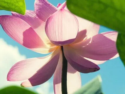 Inner Light – Subtle Sounds For Inner Balance