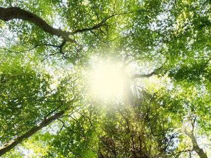 [Inner Notes] When You're Afraid To Begin Again