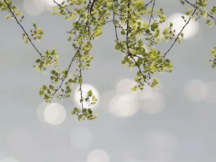 [Inner Notes] When You're Feeling Too Much