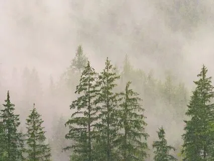 [Inner Notes] When You're Grieving Something You Can't Name