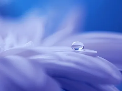 Find Inner Peace | Relaxing Music For Stress Relief