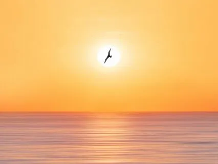 Inner Peace Affirmations 432Hz