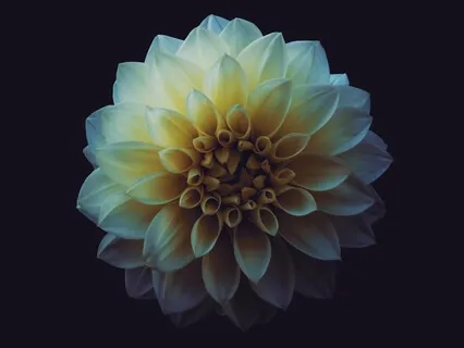 Inner Peace & Joy Sleep Meditation