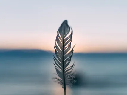 Inner Peace & Rest: Connect To Self