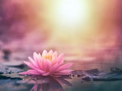 Inner Peace: Calming Meditation & Sleep Music | 30 Min