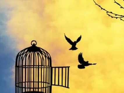 Inner Peace Guided Meditation