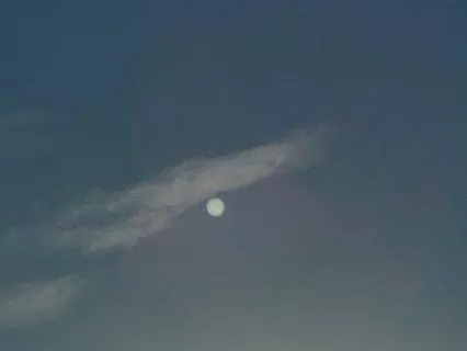 ​Inner Peace & Healing: Pure Kalimba For The Soul