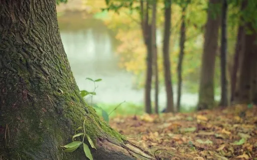 Inner Peace Meditation, Your Safe Space