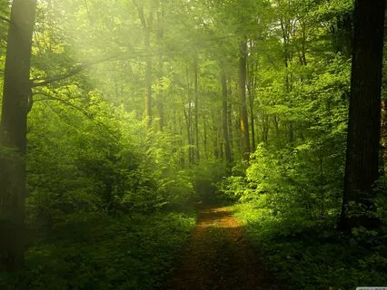 Inner Peace When You Need It