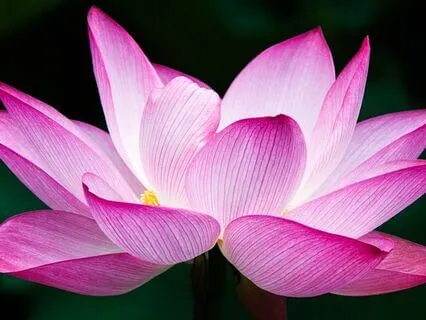 Inner Peace Meditation