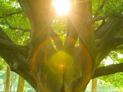 Inner Peace – Pure Heart Ignition