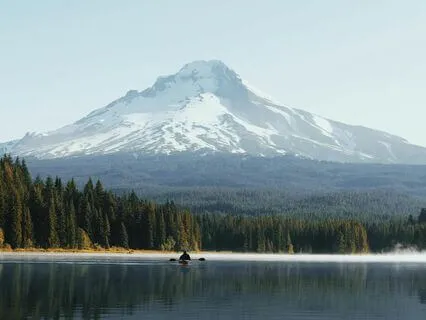 Inner Peace: Quiet Your Busy Mind