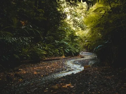 Inner Peace - Releasing Attachment & Negative Thought Forms