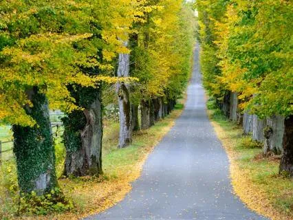 Inner Peace: Self-Denial Or Self-Actualization (Higher Mind)