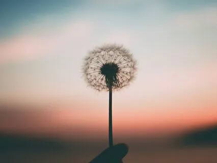 Inner Peace Sound Journey With Binaural & Solfeggio