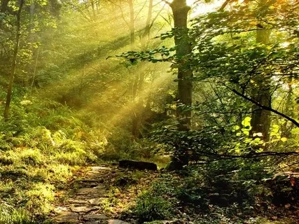 Inner Peace - The Magic Of Native American Flute