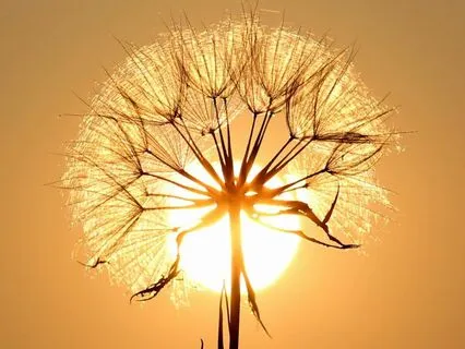 Inner Peace : Time-Friendly Affirmations