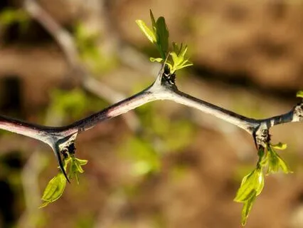 Inner Peace & Unity Meditation For Sleep