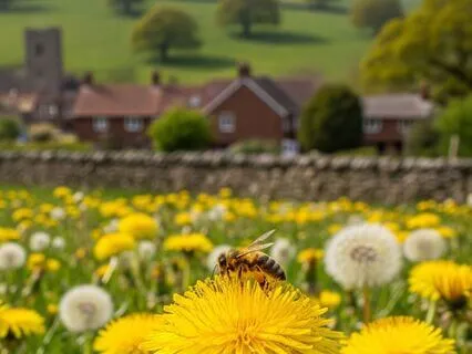 Inner Peace With 90 Second Rule