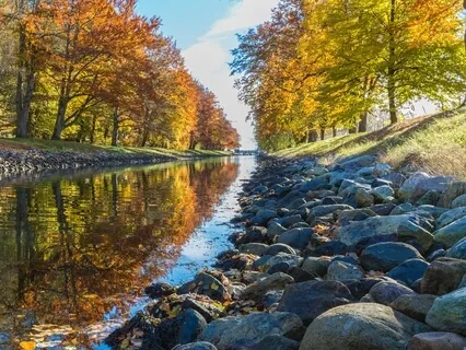 Inner Power & Higher Self Awakening Music - 7.83Hz