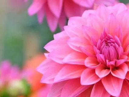 Inner Quiet — Gentle Guitar For Deep Relaxation