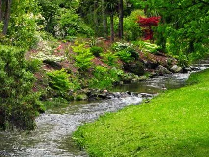 Inner Sanctuary, Safe Haven: A Deep Sleep Journey