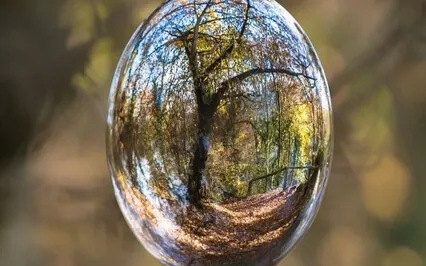 Inner Sanctuary Set Up