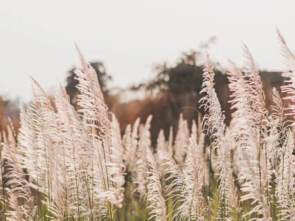 Inner Sanctum Meditation For Quiet Calm