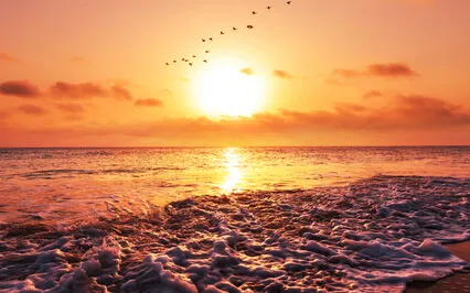 Inner Secrets Of Healing 