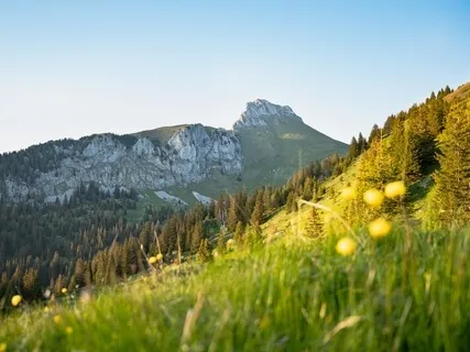 Core Self Connection | Guided Imagery