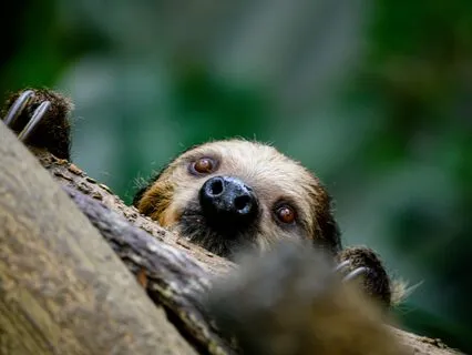 Inner Serenity Paves The Way For Restorative Sleep