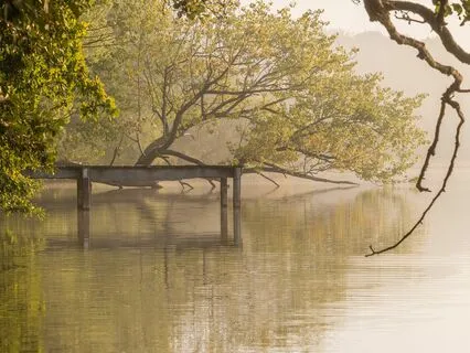 Inner Silence (Antar Mouna)