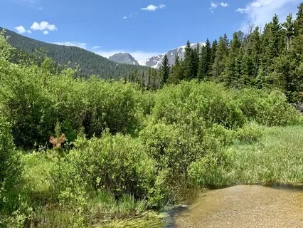 Inner Smile Meditation