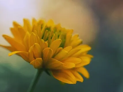 Inner Smile Practice