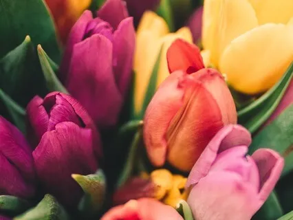 Inner Spring Meditation For Women