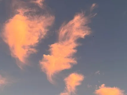 Inner Stillness: A Body Scan Meditation