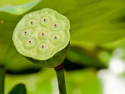 Inner Stillness: A Mindful Jewish Moment