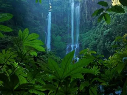 Inner Stillness: Deep Concentration Music