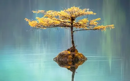 Inner Strength