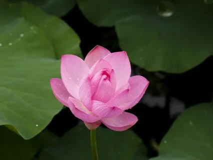 Inner Strength Affirmation Meditation