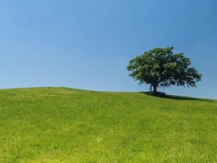 Inner Strength And Confidence