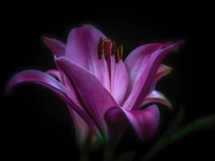 Inner Strength Guided Meditation